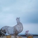 보성다비치콘도 이미지