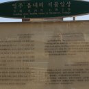 영주읍내리석불입상 이미지