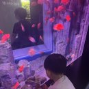 _도구머리공원1-32 | 충주 아쿠아리움 32개월 아이와 다녀온 솔직 후기 (+탄금공원 놀이터, 막국수 맛집)