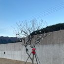 멍온스테이 이미지