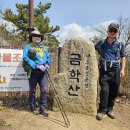 경북 경주시 소금강산 금학산 약산 보문호 벚꽃 탐방/2025.4.3.목 이미지