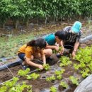 곰마을민박 이미지