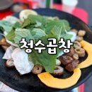 청수곱창 | 고잔동 곱창 맛집 청수곱창 후기 고잔동야장 분위기