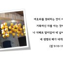 [성경필사] 2019.01.16_수요일에 주신 말씀 이미지