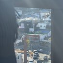 가죽고랑길 네이버블로그