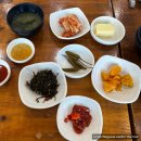 명진식당 | 올여름 방문한 제주 동쪽 식당 공유! (명진 전복, 움튼 델리카테슨, 돈구어)