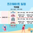 올레이디 19 이미지