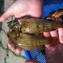 강낭골집 이미지