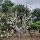 흥해시장 이미지