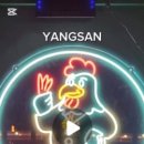 닭발 CEO 이미지
