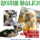 경천교회 이미지