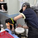 비전컨설팅학원