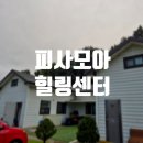 피사모아 이미지