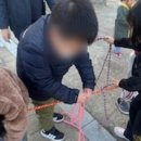 사랑생태놀이유치원 이미지