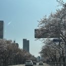 종로김밥 문래동점 | 서울 근교 당일치기 여행｜봄에 가기 좋은 드라이브 코스 5곳 (카페·맛집까지)