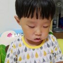 쭈노떡볶이 네이버블로그