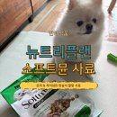 (주)뉴트리온 | 강아지사료후기 🐶 기호성 좋고 건강 챙기는 소프트뮨 사료