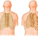 미인만들기 이미지