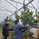 대연2농장 이미지