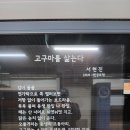 1.31. 이미지