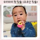 우리아기 첫 칫솔,이유식부터 어린이집까지 사용 후기:조르단칫솔