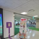 좋은나무숲유치원 - 1603 | 용인 아이과 가기 좋은 곳, 용인 상상의 숲 가루나무모래흙 체험후기