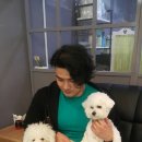 창운빌딩 | 간석동초밥집:)다미초밥솔직후기