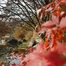 모텔휠링 이미지