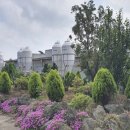 조정농장 이미지