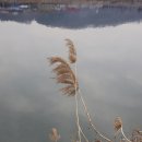 화봉산 네이버블로그