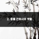 구성동물병원 이미지