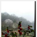 리각 미술관 이미지