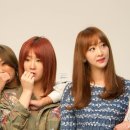 스타링 이미지