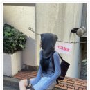 세인트제인