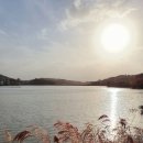 산책가는길 - 수성구 청수로 284 | 산책가는길