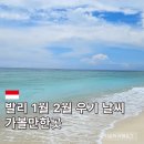 에이스지프 | 발리 1월 2월 우기 날씨 기온 강수량 가볼만한곳