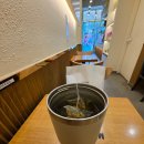 투썸플레이스 이대역점 | 메가커피 아이스 캐모마일티와 투썸 플레이스 아이스 카모마일티 가격/맛/영양성분(칼로리)/티백 비교 후기
