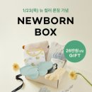 뉴본