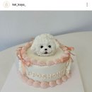 케이코야 이미지