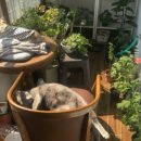 정이드는집 이미지