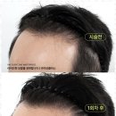 아름다움플러스