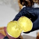 렉스할인마트 이미지