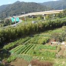 내서읍128 이미지