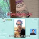 에브리원안경 이미지