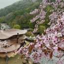 [하동,구례여행] 푸릇푸릇 봄여행기_하동편 | 하동여행, 하동가볼만한곳 (삼성궁, 화개장터, 밤톨, 도심...