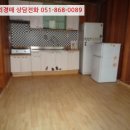 사파동120 이미지