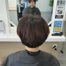 봉봉헤어살롱 - 달성군 | 봉봉헤어살롱