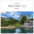 다미빈티지옷장 - 부천시 원미구 석천로16번길 9 | 치앙마이 빠이 자유여행 14일차, 요마호텔 조식 투시스터즈레스토랑 빠이야시장 레브리시암리조트 수영장