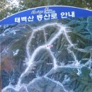 1/25 태백산 눈축제 이미지