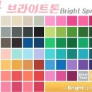 브라이트라이트 이미지